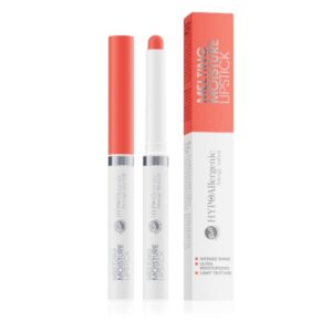 BELL HYPO MELTING MOISTURE LIPSTICK 04